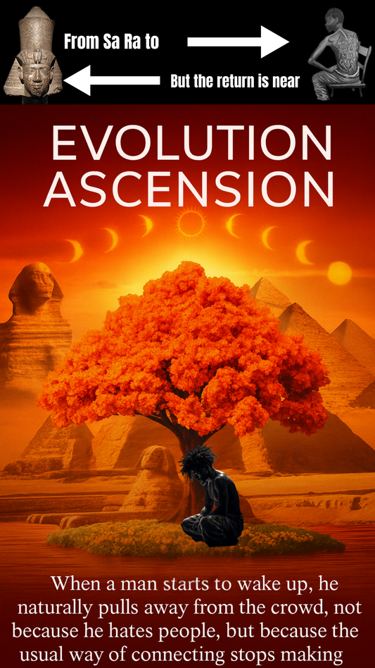 Evolution Ascension Audiobook no music- When a man starts to wake up 14 min mp3 instant download sent via email